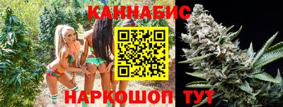 Альфа ПВП Новозыбков