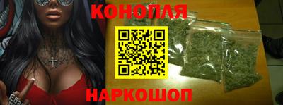 Альфа ПВП Новозыбков