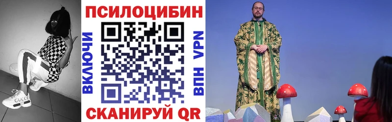 Галлюциногенные грибы Psilocybe  Дальнереченск 