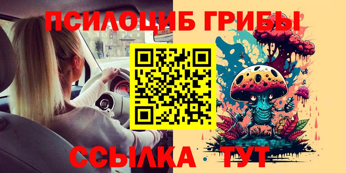 Дальнереченск  Галлюциногенные грибы Magic Shrooms  Галлюциногенные грибы Magic Shrooms  Вход с VPN 
