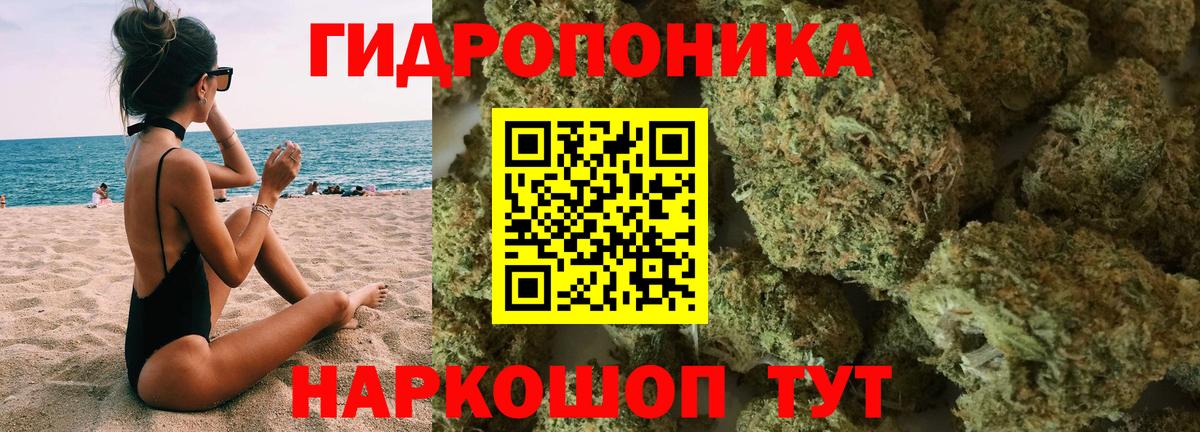 Бошки Шишки ГИДРОПОН Дальнереченск